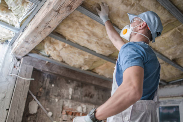 Best Specialty Insulation in Mbria, CA